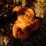 2014-01-17 PointReyesCamping 024 : 2014-01-17_PointReyesCamping
